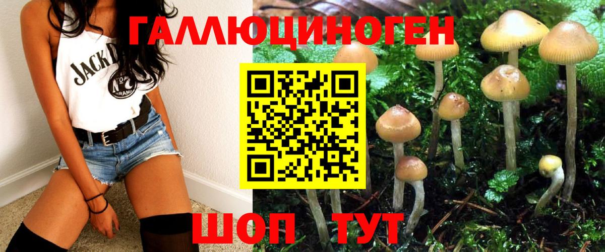 Псилоцибиновые грибы MAGIC MUSHROOMS Ейск