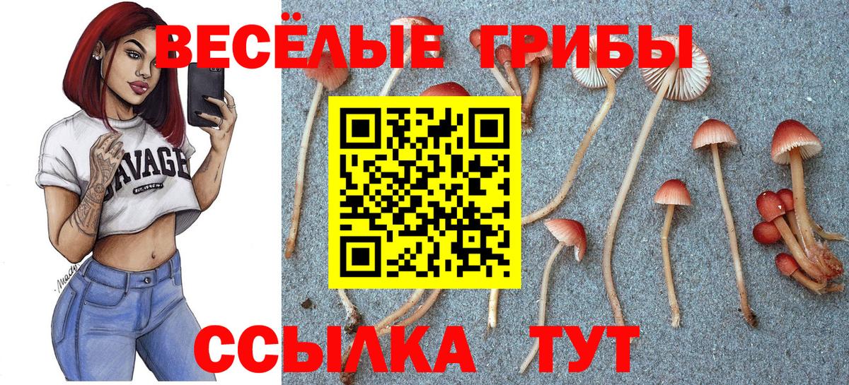 где можно купить наркотик  Псилоцибиновые грибы Psilocybe  Галлюциногенные грибы ЛСД  Вход с VPN  Ейск 